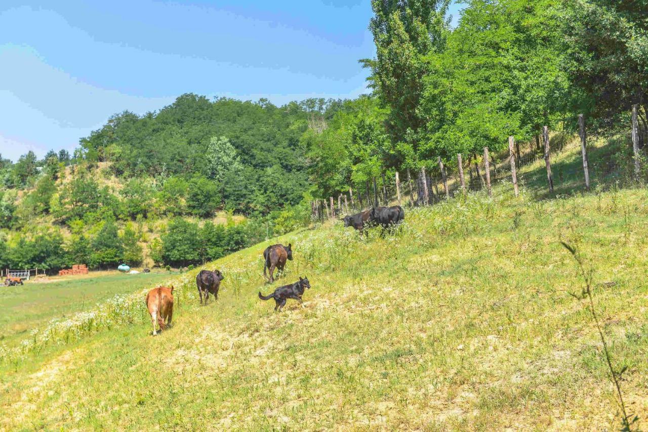 阿斯蒂Cascina Lissona别墅 外观 照片
